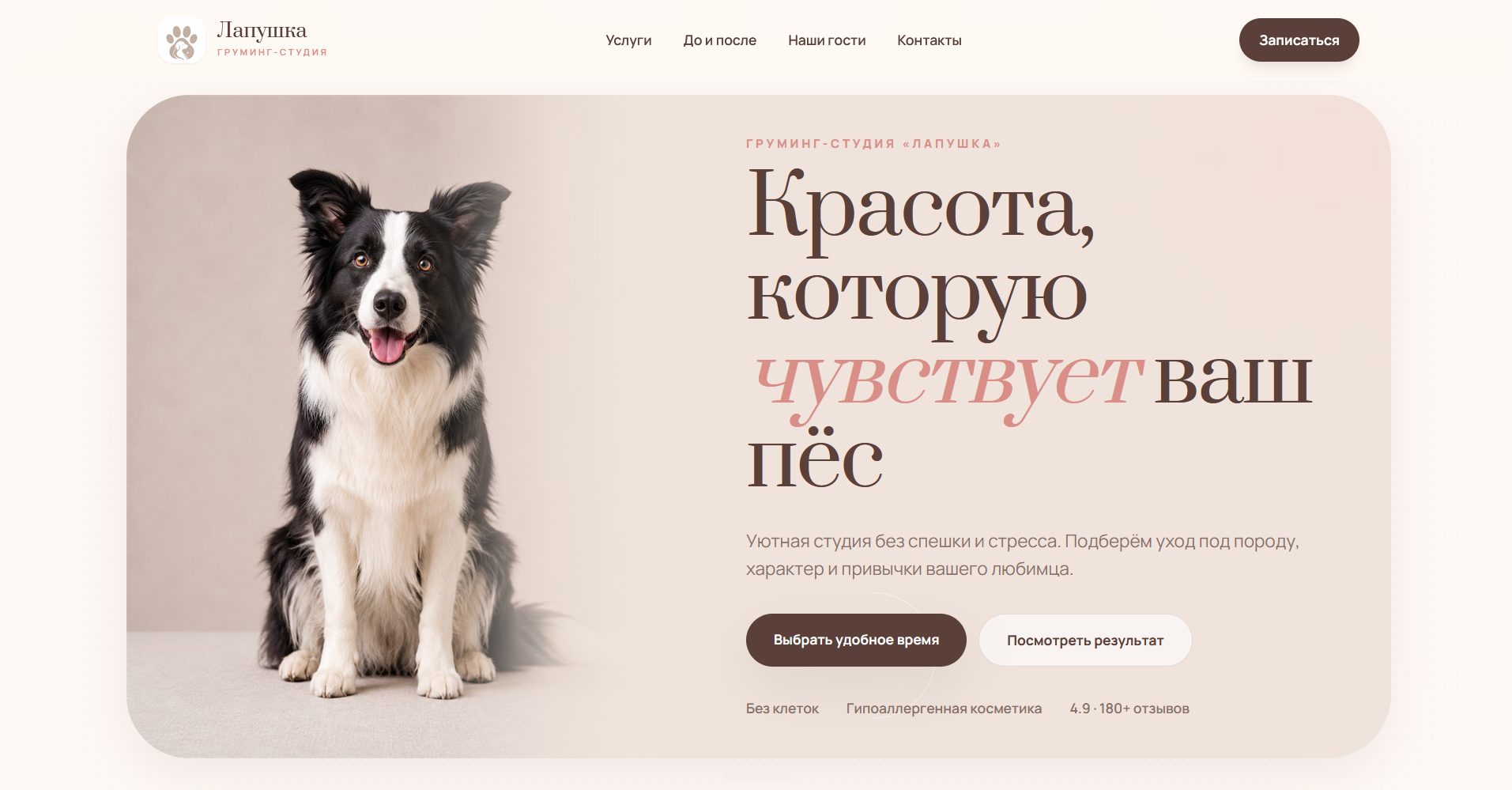 Hero screen сайта Лапушка